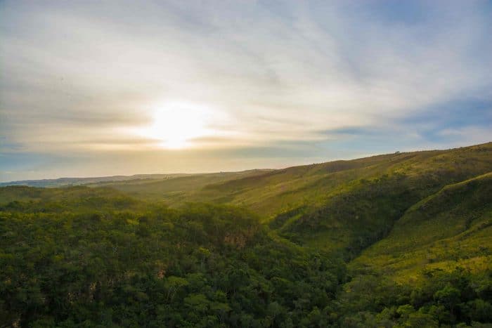 Fazenda Daterra Sunset