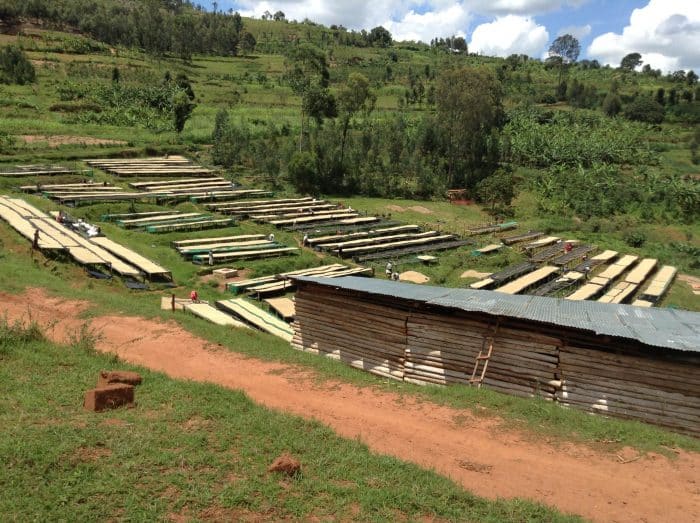 Rwanda Cyendajuru Natural - Image 3