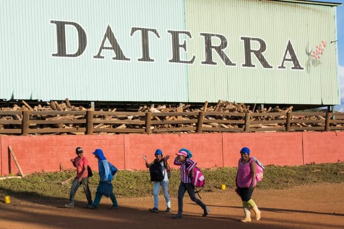 Fazenda Daterra Monte Cristo