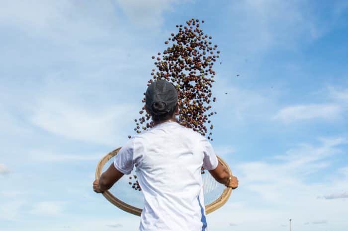 Daterra Summer Solstice
