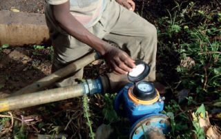 Pilot project in Bokasso cooperative_2