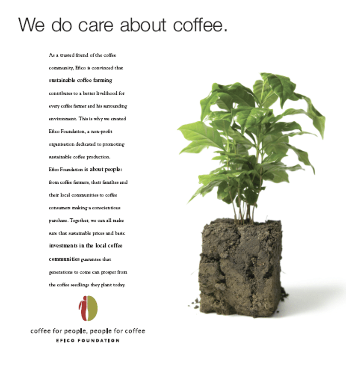 20Y EFICO FOUNDATION