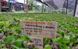 A new generation of entrepreneurs committed to productivity and coffee quality_2