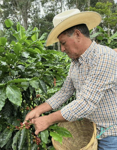 EFICO Green Coffee FIELDTRIP Honduras & Nicaragua