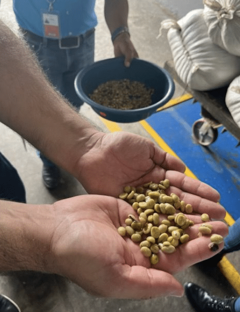 EFICO Green Coffee FIELDTRIP Honduras & Nicaragua