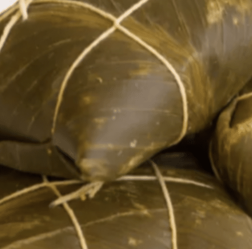 EFICO Green Coffee FIELDTRIP Honduras & Nicaragua