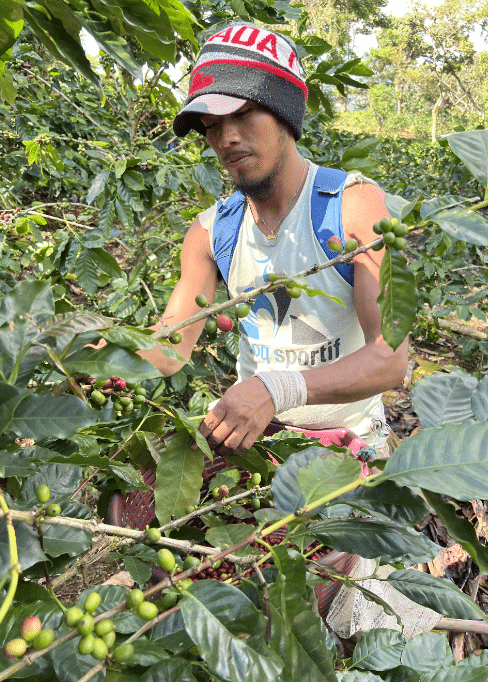 EFICO Green Coffee FIELDTRIP Honduras & Nicaragua