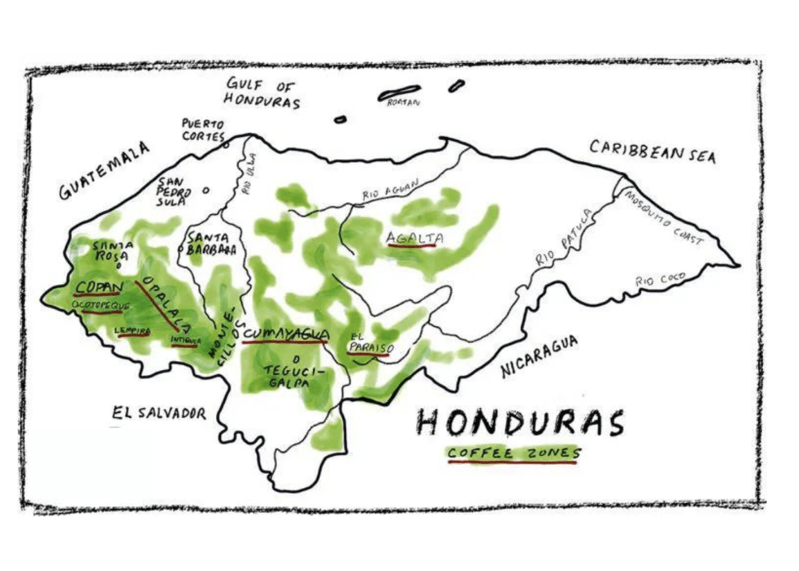 EFICO Green Coffee FIELDTRIP Honduras & Nicaragua