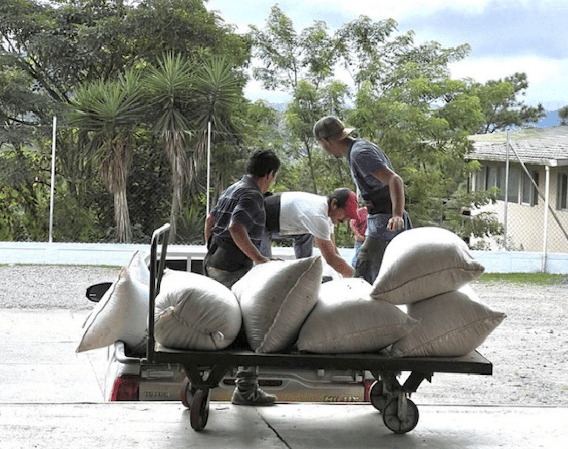 EFICO Green Coffee FIELDTRIP Honduras & Nicaragua