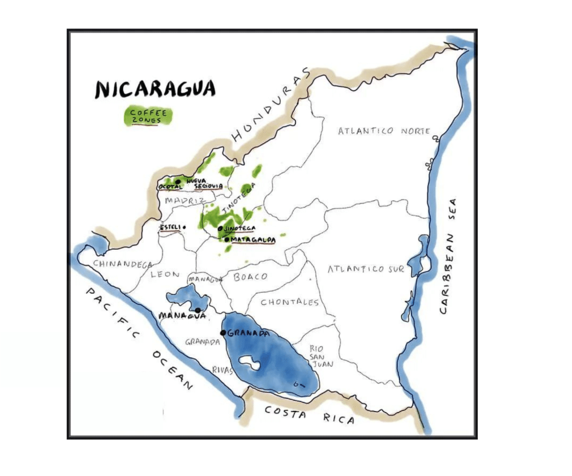 EFICO Green Coffee FIELDTRIP Honduras & Nicaragua