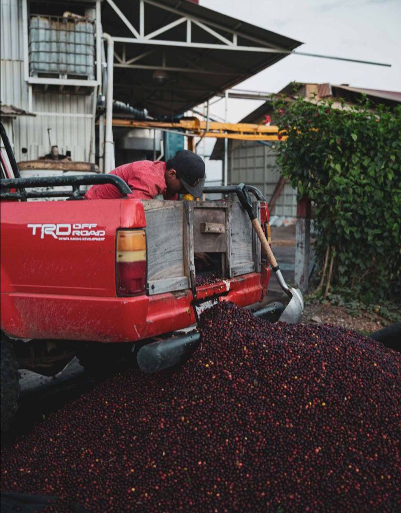 EFICO - WHY TEAMING UP WITH A GREEN COFFEE IMPORTER MAKES SENSE - AND NOT JUST FROM AN ECONOMIC POINT OF VIEW