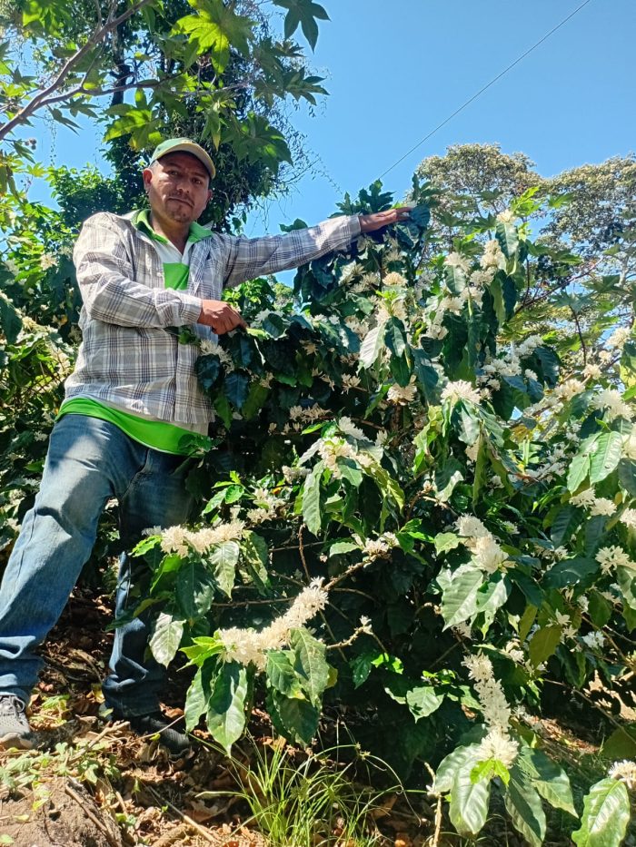 Finca La Estrella natural