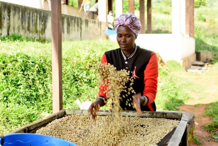 Rutobwe - Women Coffee